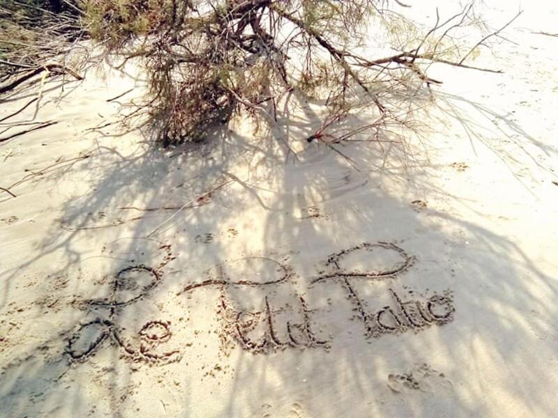 Le Petit Patio Bed & Breakfast Aigues-Mortes Exterior photo