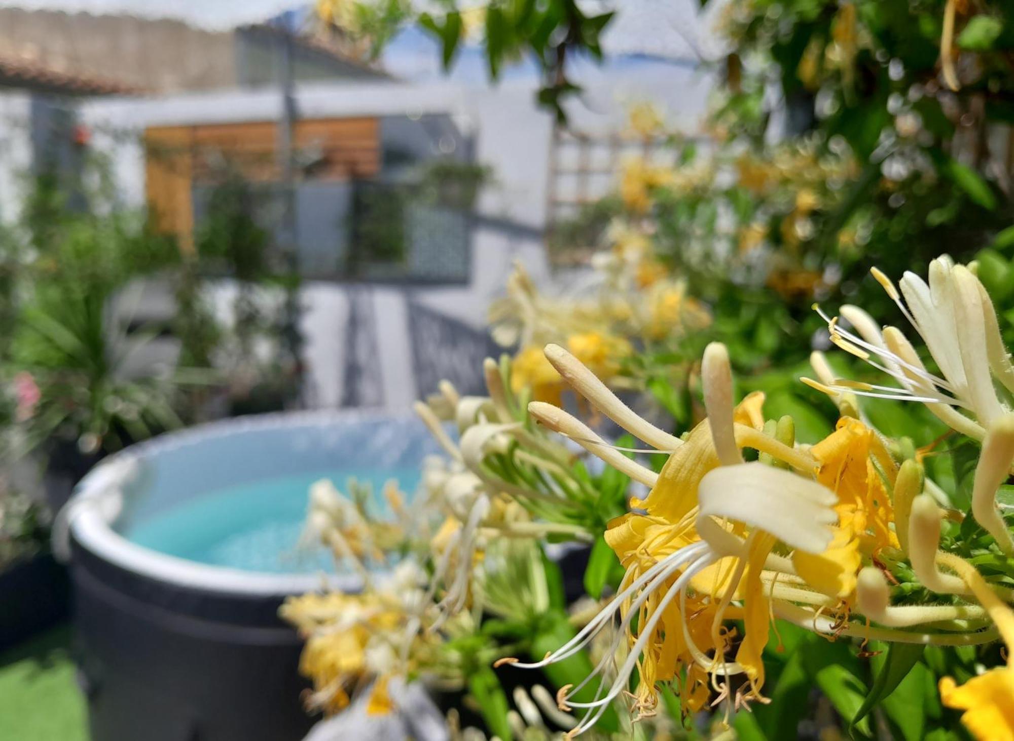Le Petit Patio Bed & Breakfast Aigues-Mortes Exterior photo