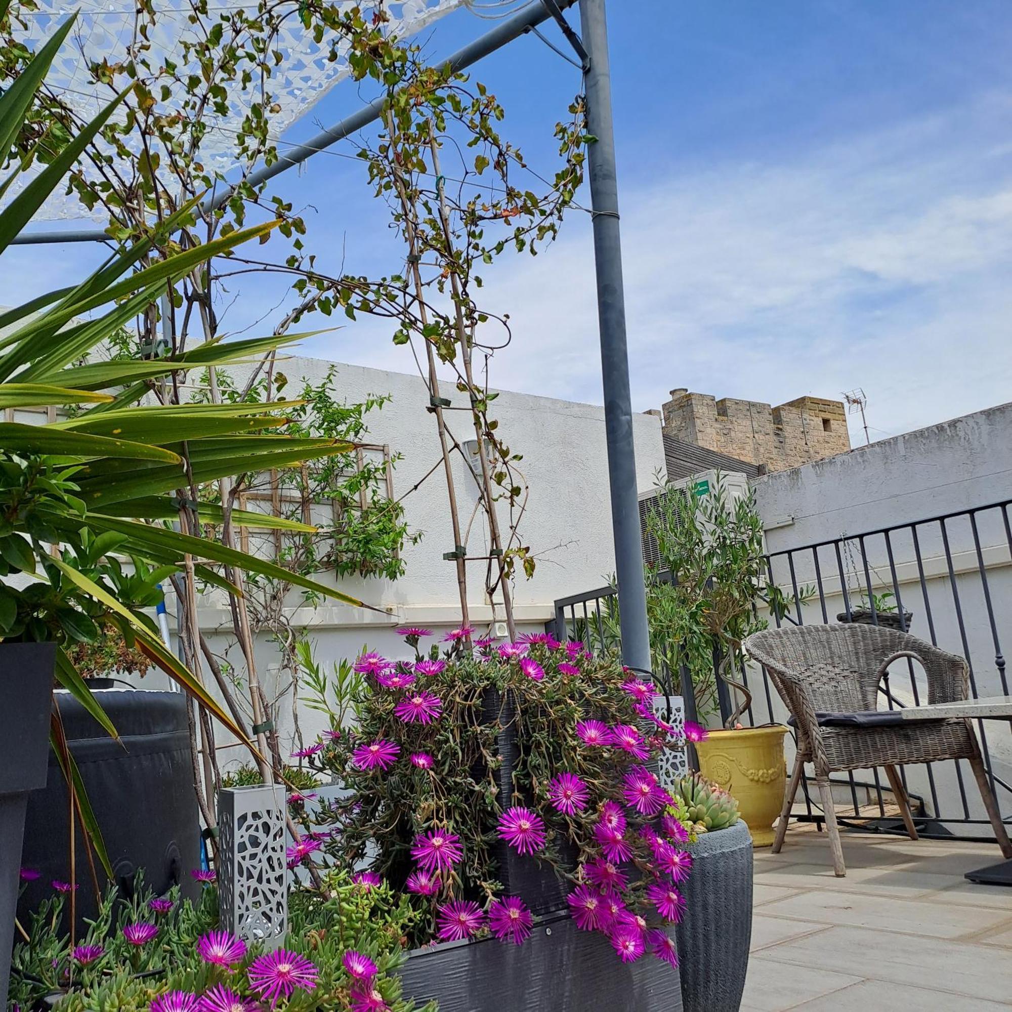 Le Petit Patio Bed & Breakfast Aigues-Mortes Exterior photo